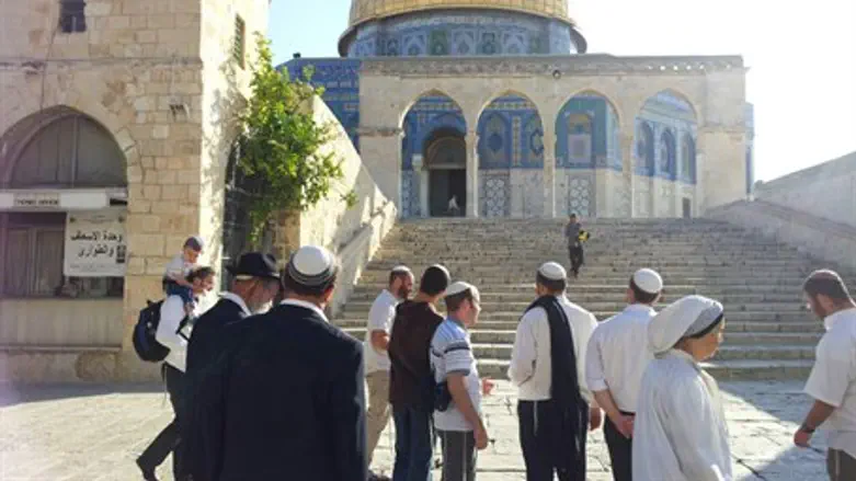 Jews on the Temple Mount (file)