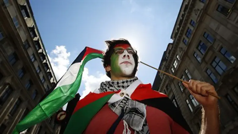 Pro-Palestinian activist (illustration)
