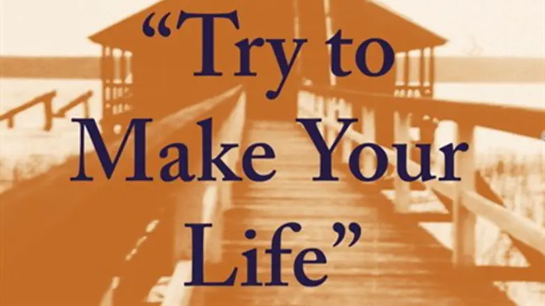 Try to make your Life