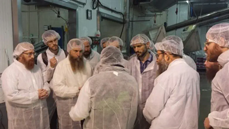 הרבנים בסיור במפעל