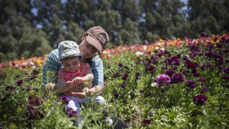 Israelis enjoy flowers at Kibbutz Nir Yitzhak, April 2016