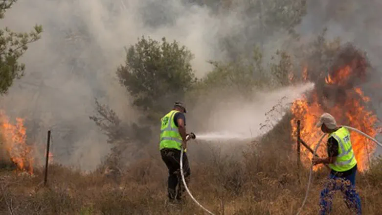 Israeli firefighters battle forest fire (file)