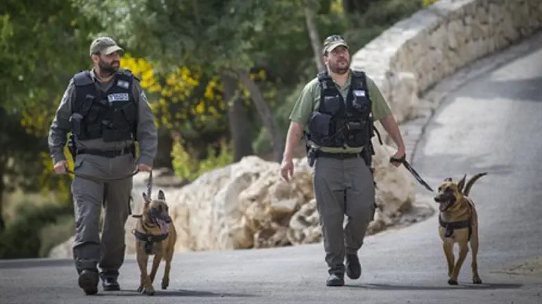 Police trackers hunt for Jerusalem stabbers