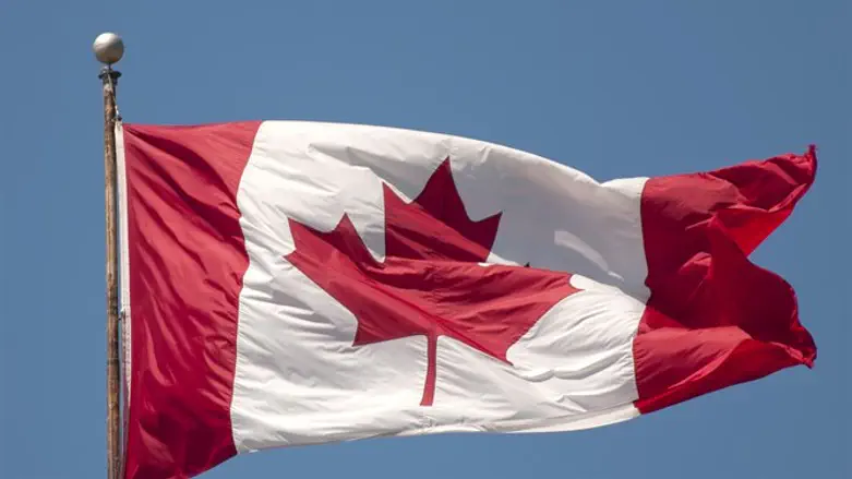 Канадский флаг. Иллюстрация