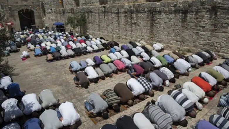 Молящиеся мусульмане. Иллюстрация