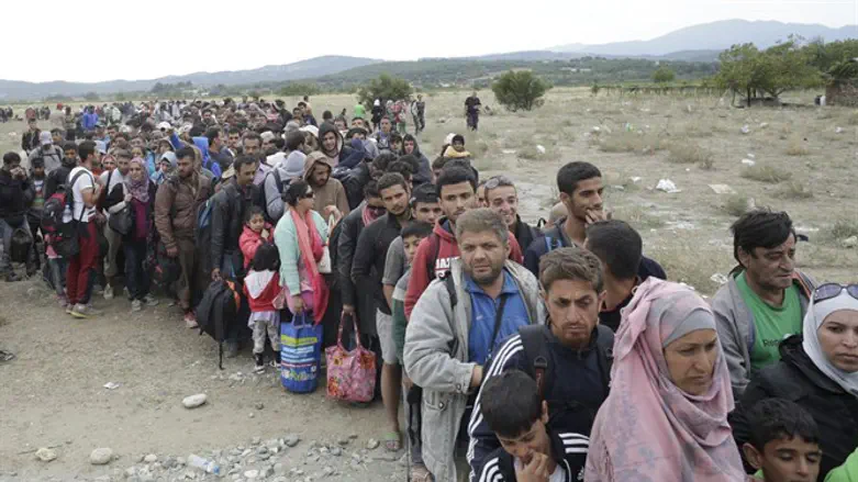 פליטים באירופה. הונגריה לא רוצה בהם