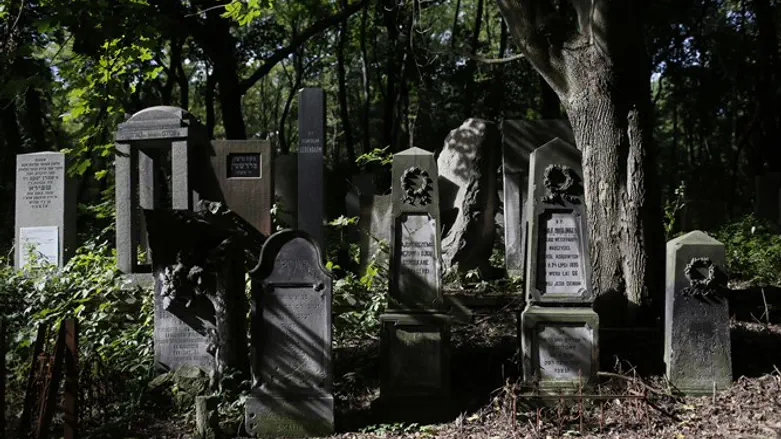 בית קברות יהודי. ארכיון