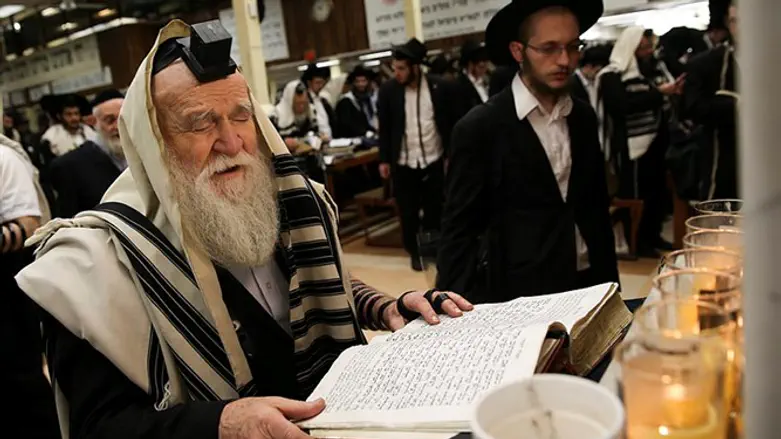Chabad hasid
