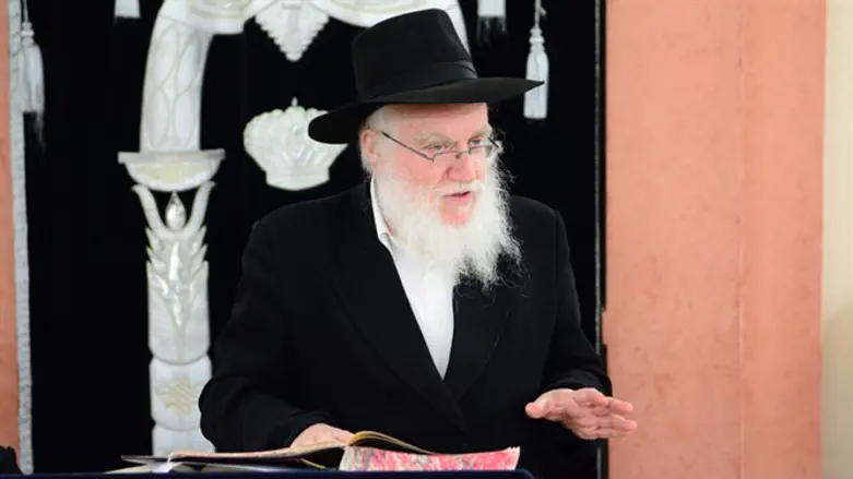 Rabbi Moshe Havlin