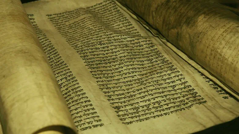 Torah scroll (illustration)