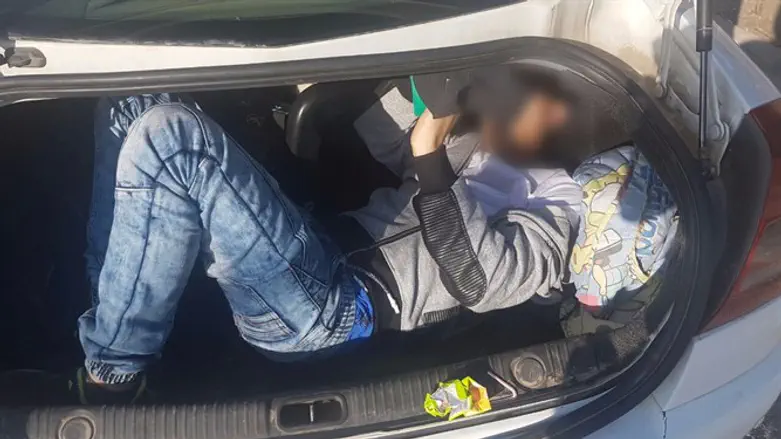 Illegal infiltrator found in trunk of car      