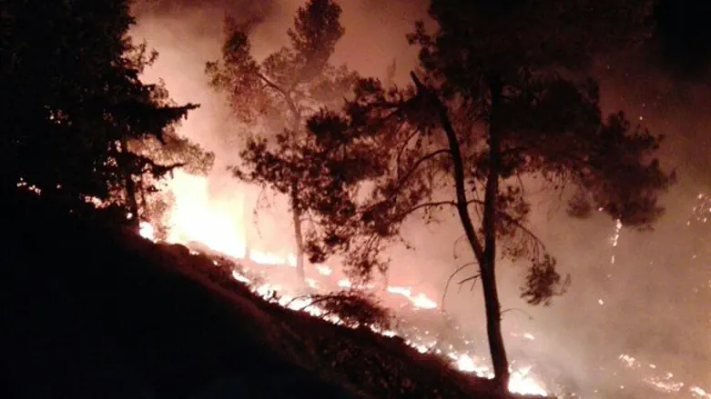 Fire in Gush Etzion