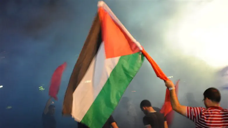 PLO flag (archive)