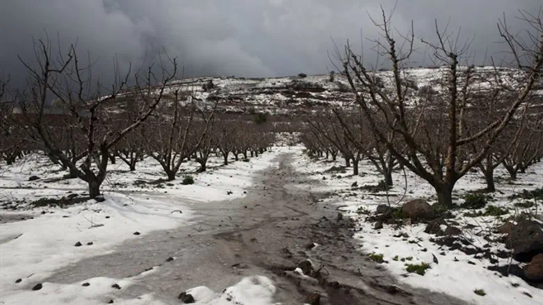 Snow in the northern Golan