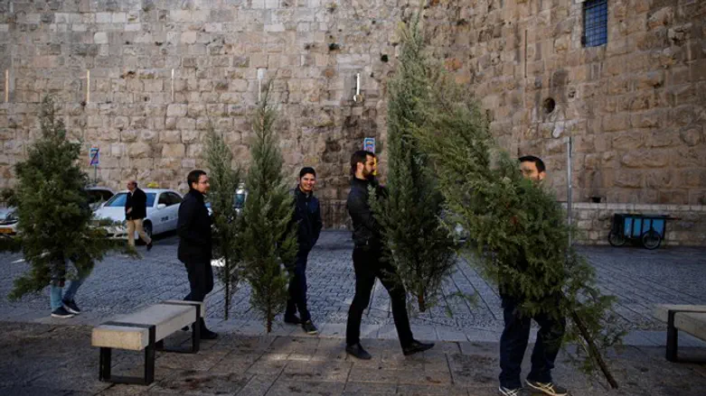 חלוקת עצי אשוח בירושלים