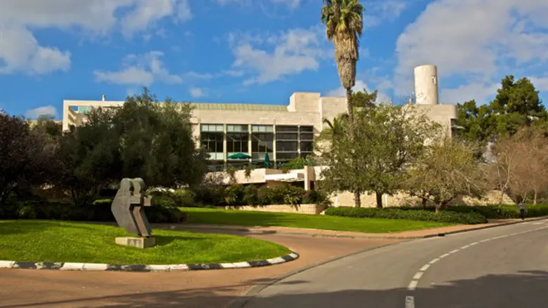 The Weizmann Institute