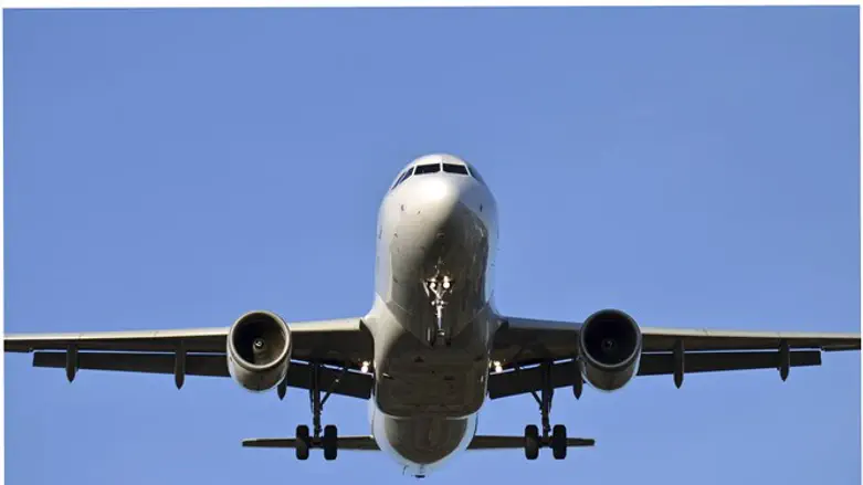 Passenger plane (Archive image)