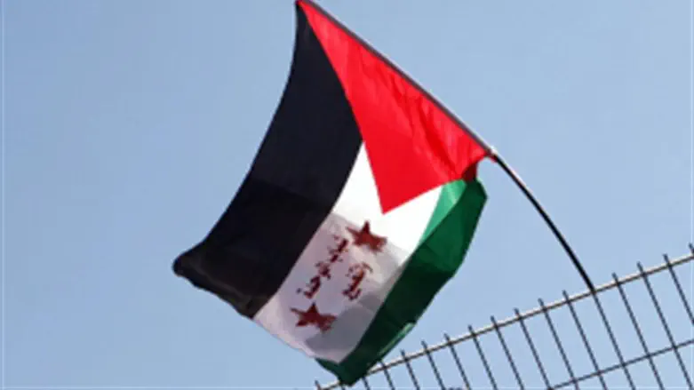 Палестинский флаг. Иллюстрация