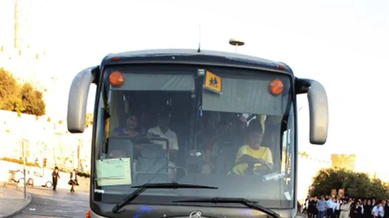 Bus  