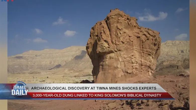Archaeological discovery shocks experts