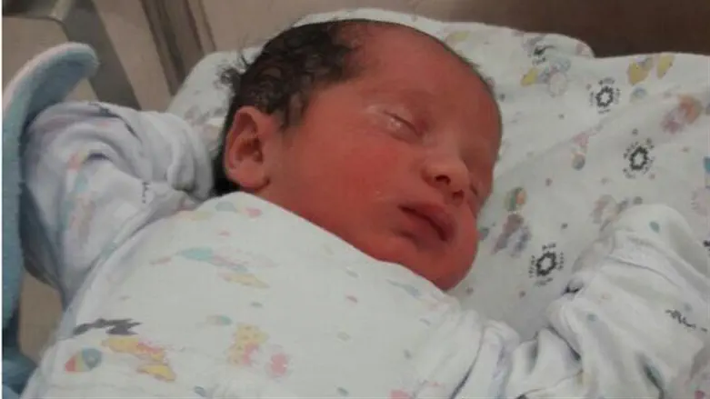 New grandson for Hasno family