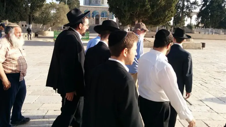 Jews ascend Temple Mount - sans Waqf