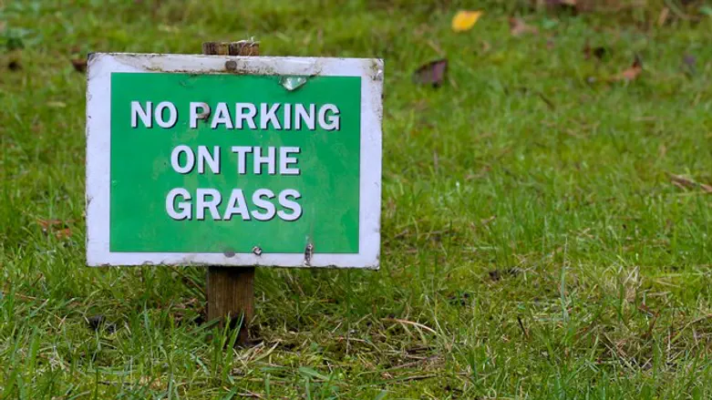 No parking on the grass