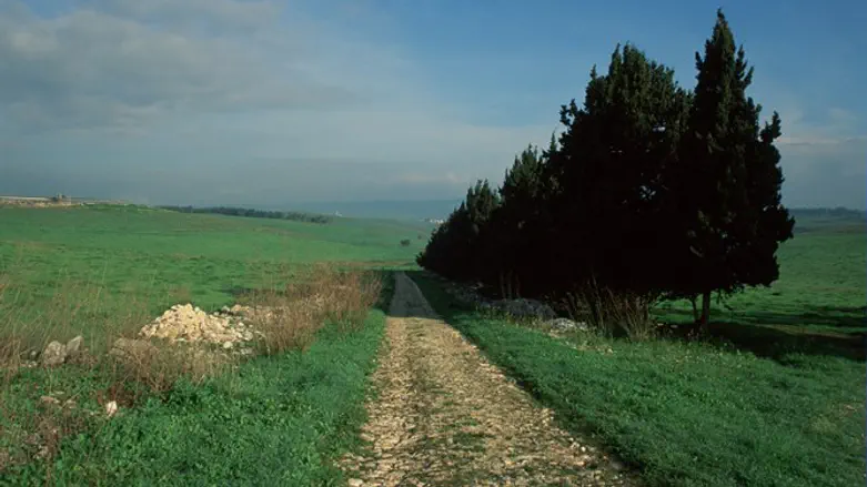 Section of Israel National Trail, Ramot Menashe