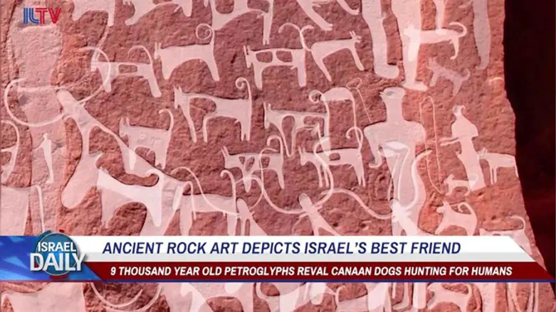 Ancient rock art depicts Israel’s best friend
