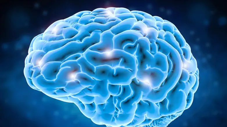 מה קורה לנו בתוך המוח?