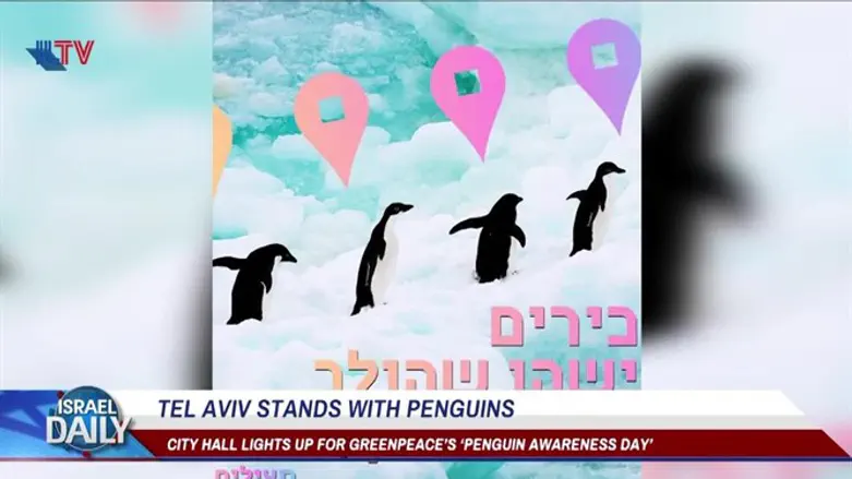 Tel Aviv stands with penguins