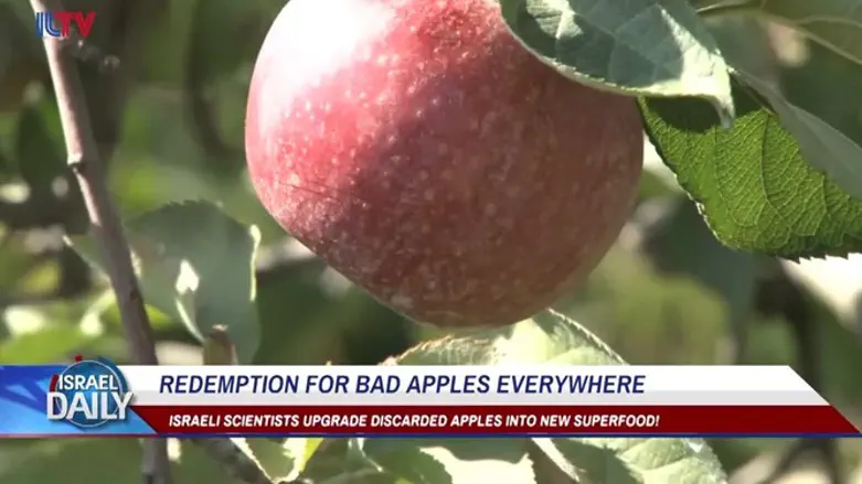 "Redemption" for bad apples everywhere