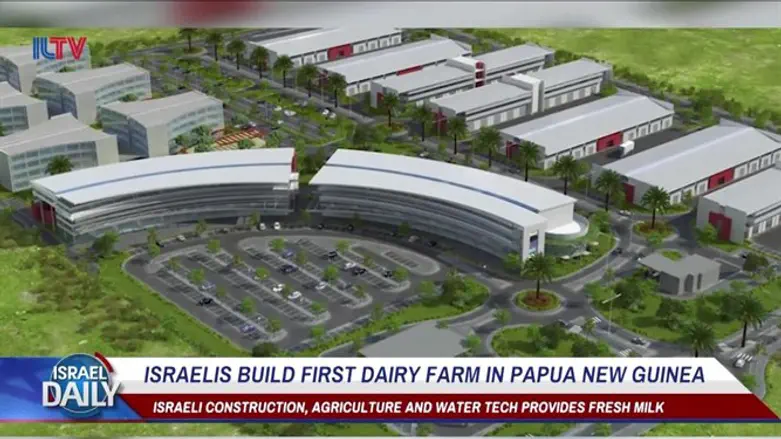 Israelis build first dairy farm in Papua New Guinea