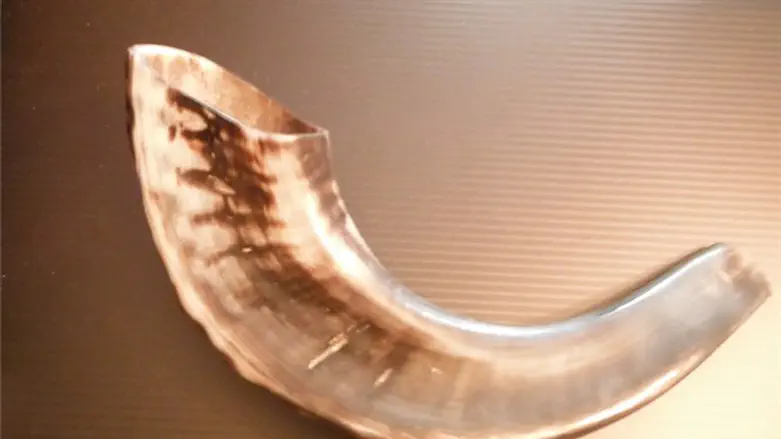 First time in English: The Torah said to blow the Shofar