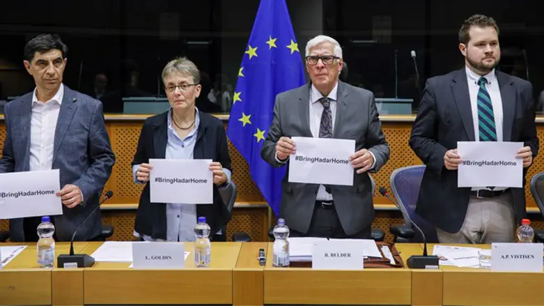 The European Foreign Affairs Committee expresses solidarity with the Goldin family