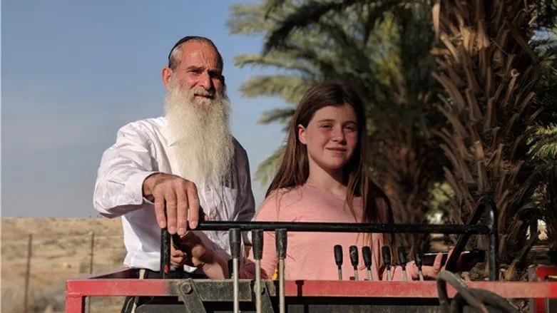 Yehoshua Meshulami and his granddaughter in the date orchard