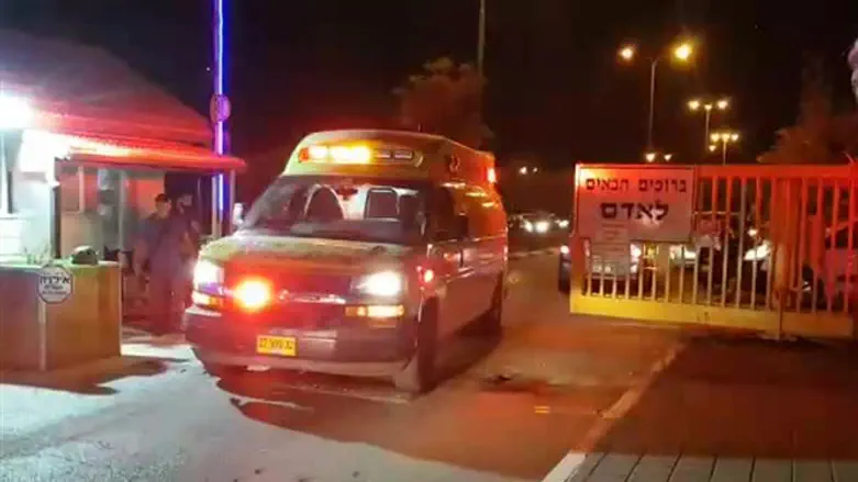 Ambulance leaves Adam after terror attack