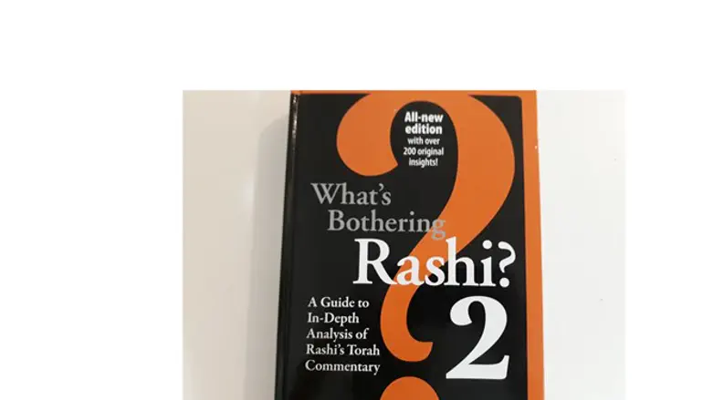 'What's bothering Rashi?'