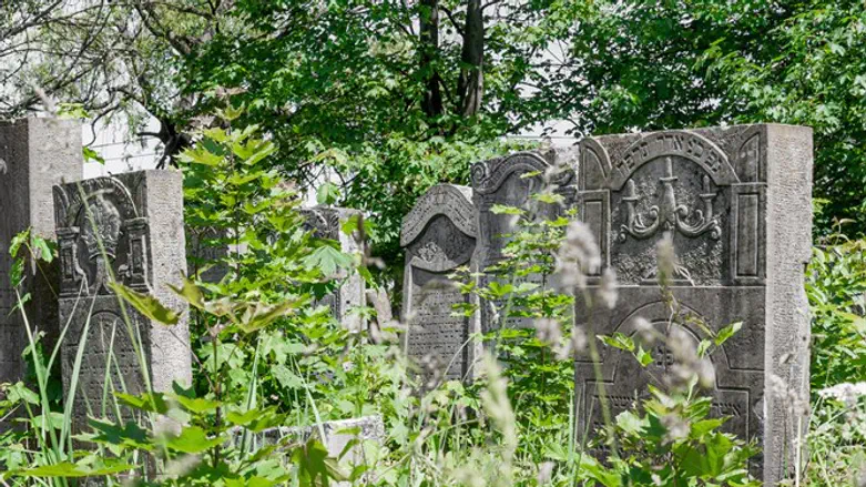 Старое кладбище в Украине