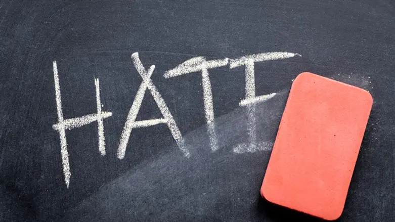 What Is The Opposite Of Hate?