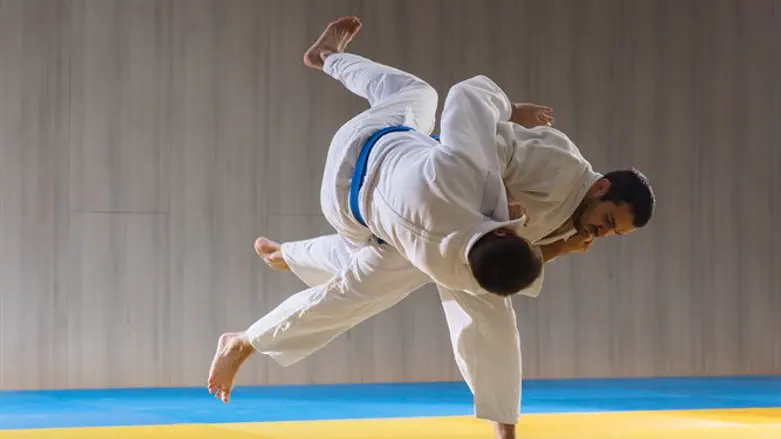 Judo (illustration)