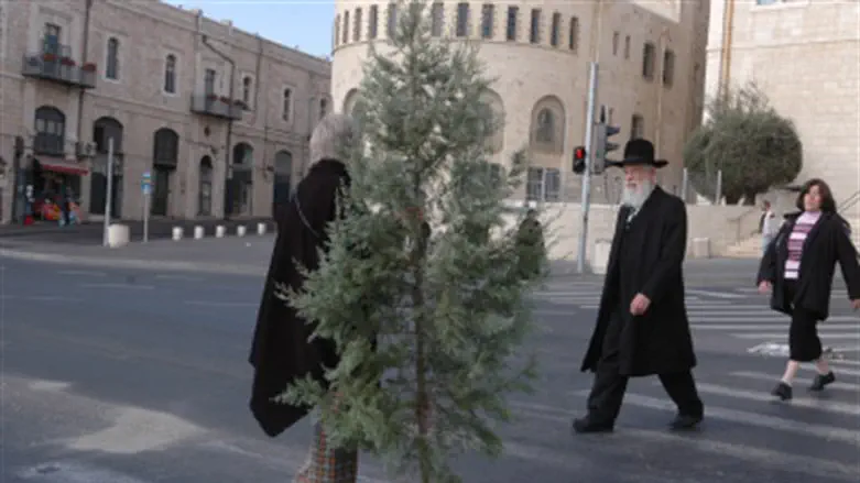Christmas tree in Jerusalem