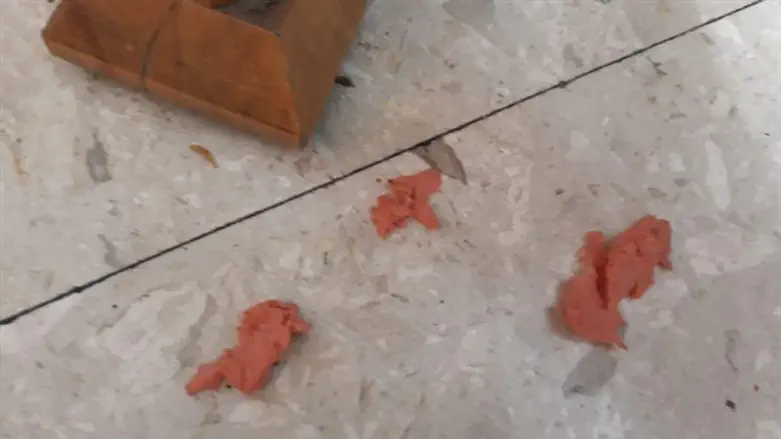 Pieces of the hot dog