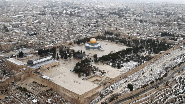 Al Aqsa Mosque (bottom left)