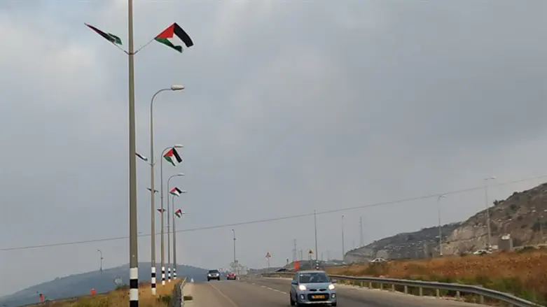 דגלי פלסטין בצומת פדואל