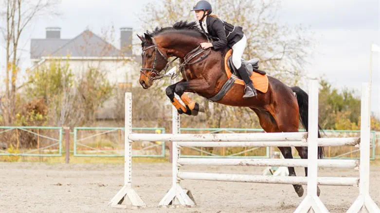 Horse jump over hurdle