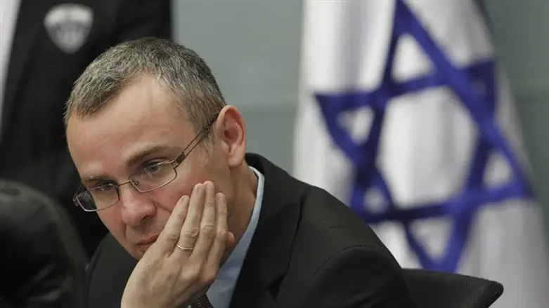 Minister Yariv Levin