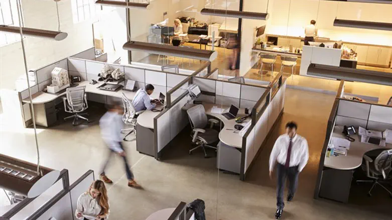 Employees working in an office