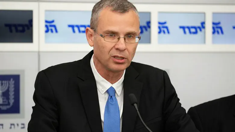 Immigration Minister Yariv Levin