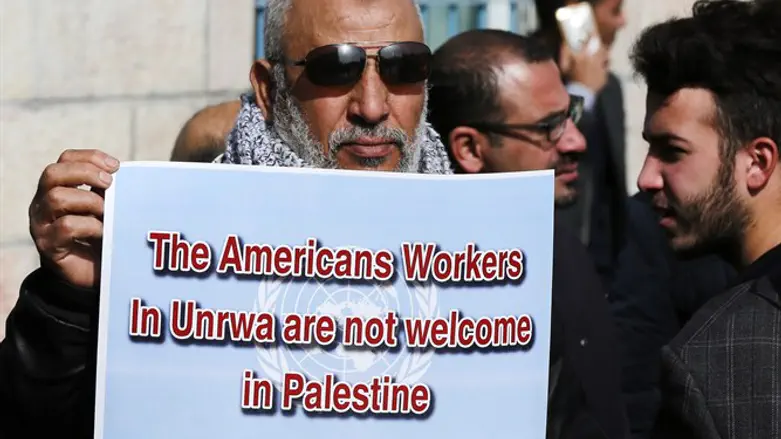'Biting the hand': Protesting Americans in UNRWA